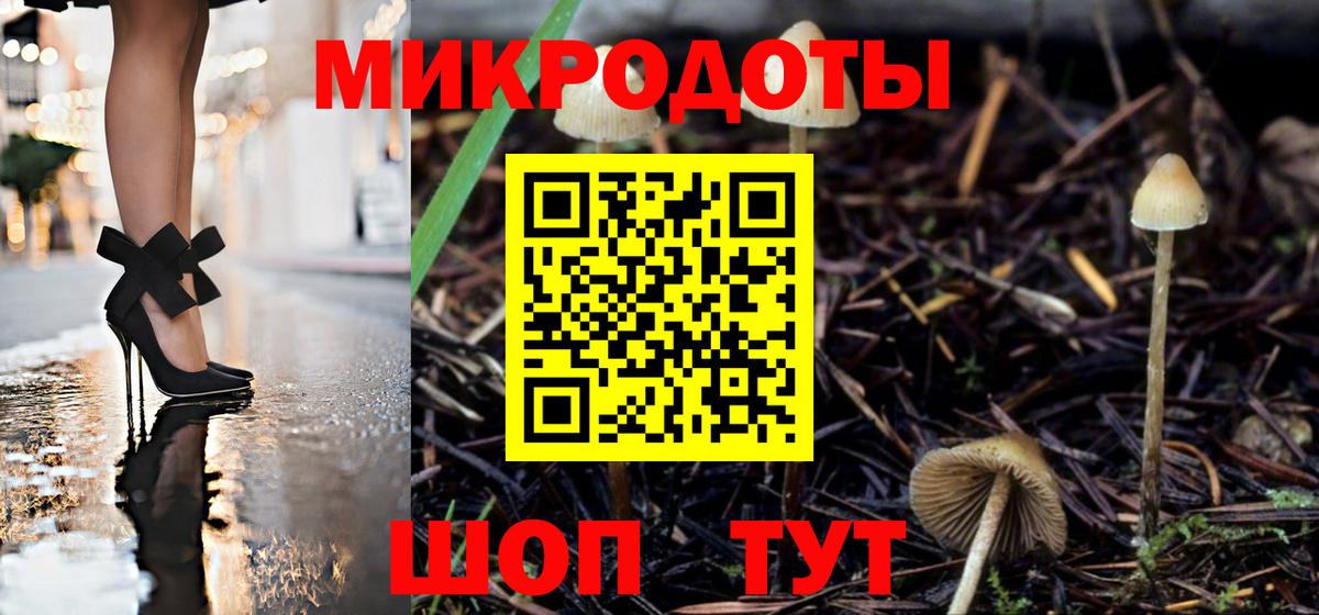 Галлюциногенные грибы Psilocybe Сертолово